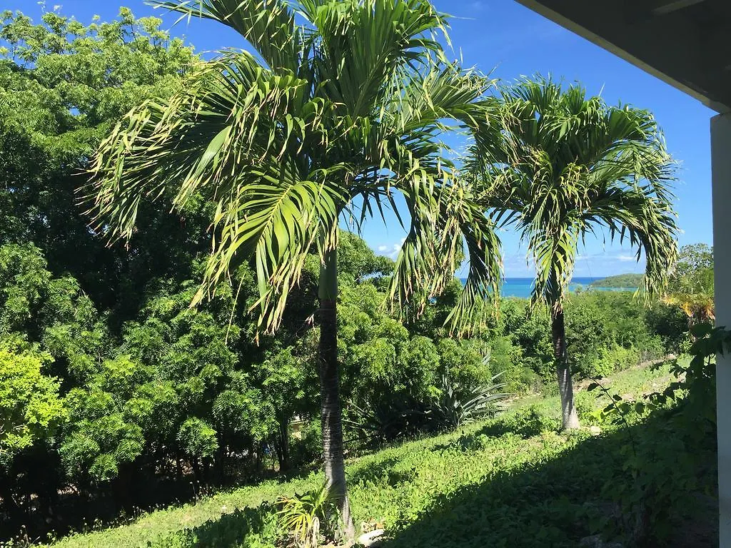 Blue Bay Antigua Bed & Breakfast Seatons