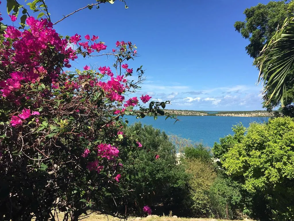Blue Bay Antigua Bed & Breakfast Seatons