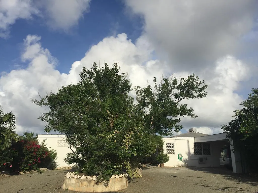 Blue Bay Antigua Bed & Breakfast Seatons